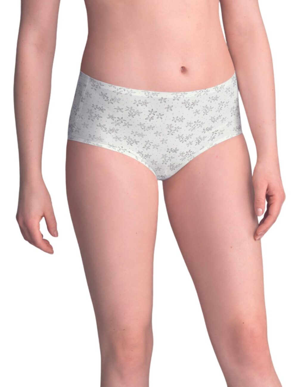 Anita Essentials Art High Waist Brief - Crystal - L/XL
