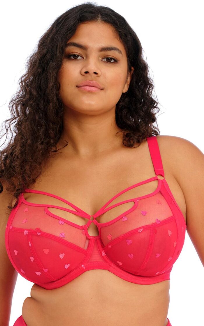 Elomi Sachi Plunge Bra - Red Confetti - 40DD