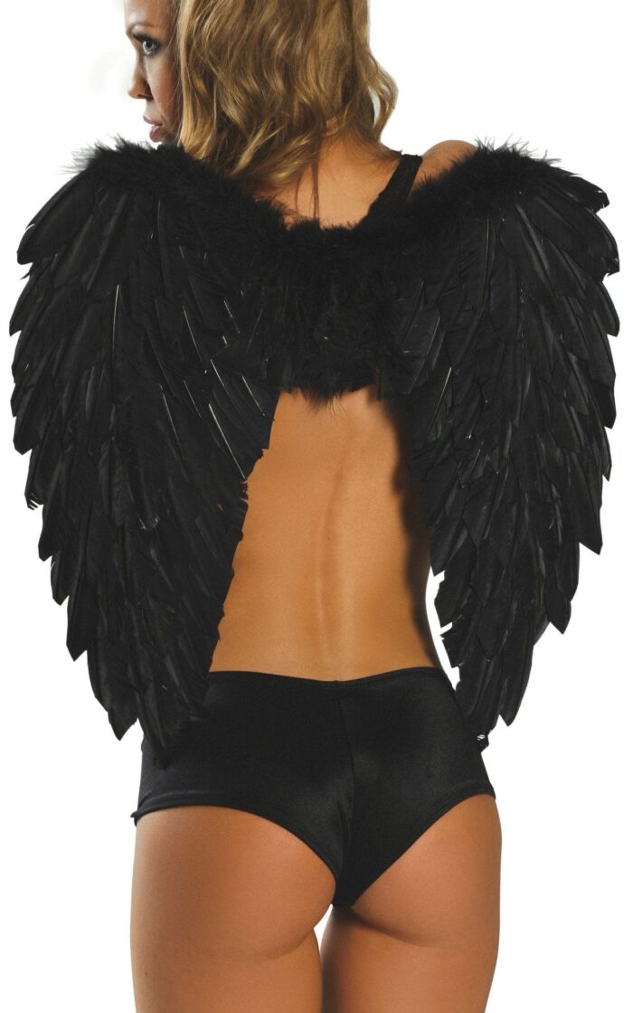Feathered Wings