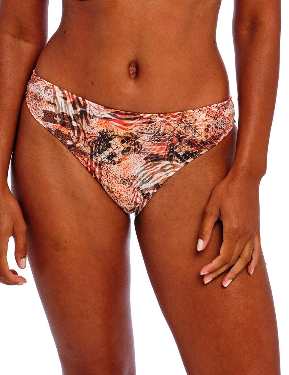 Freya Desert Cat Bikini Brief - Sunset - 2XL - 18