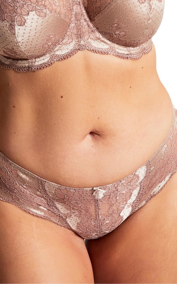 Panache Clara Brief - Champagne Bronze - XL - 16