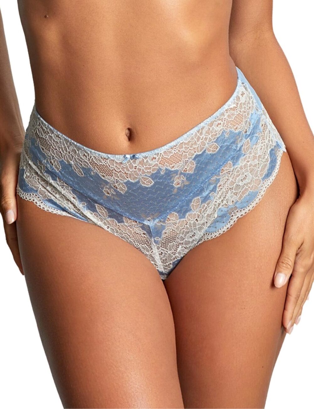 Panache Clara Deep Brief - Dusky Blue - XS - 8