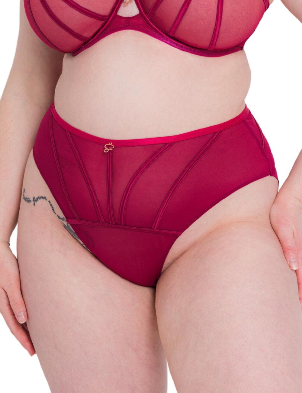 Scantilly by Curvy Kate Senses High Waist Brief - Cherry - S - 10