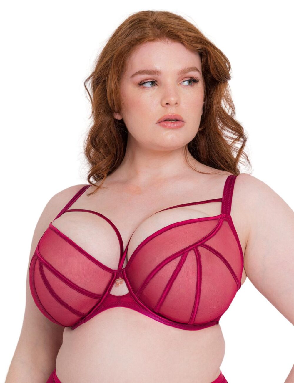 Scantilly by Curvy Kate Senses Plunge Bra - Cherry - 32E