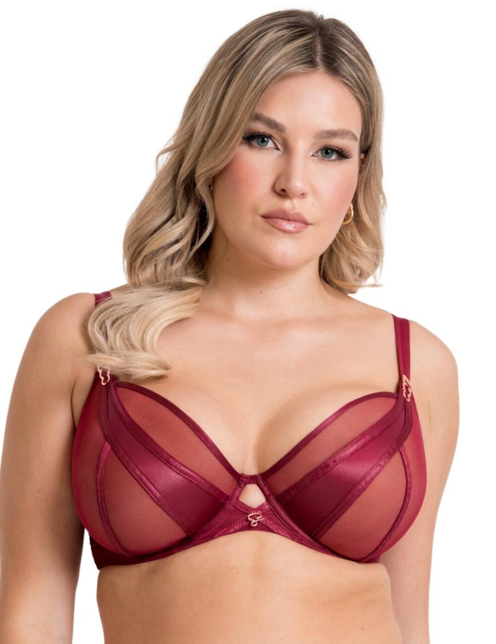 Scantilly by Curvy Kate Suspense Plunge Bra - Sangria - 30DD