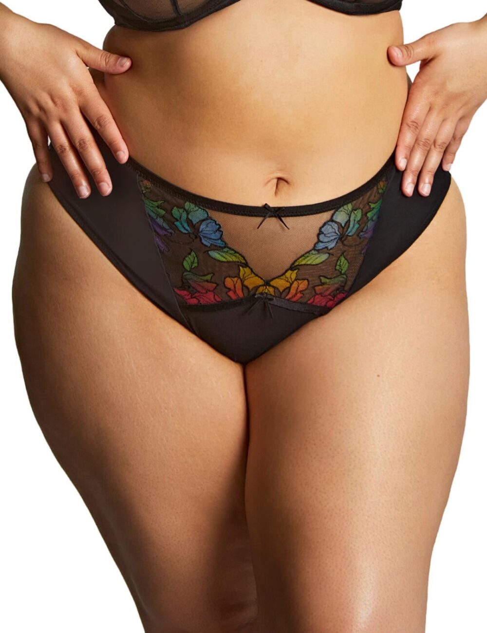 Sculptresse by Panache Eden High Leg Brief - Black - 3XL - 20