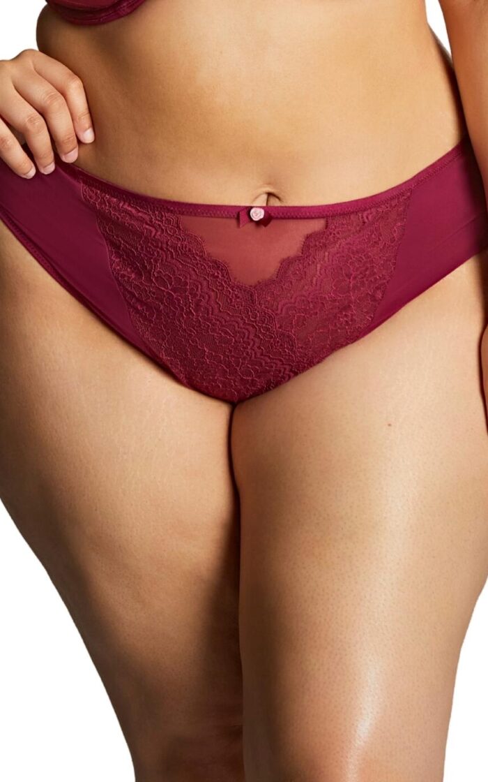 Sculptresse by Panache Natalia High Leg Brief - Bordeaux Red - L - 14