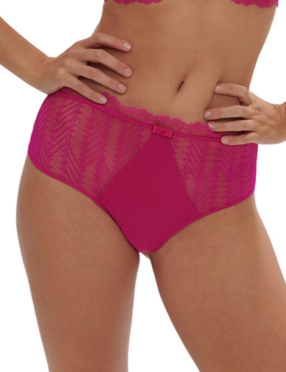 Simone Perele Canopee Retro Brief - Hibiscus Pink - M - 12